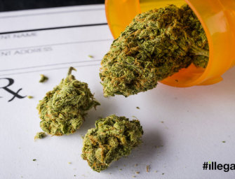 Pediatricians Call For An End To Cannabis As a Schedule I Drug