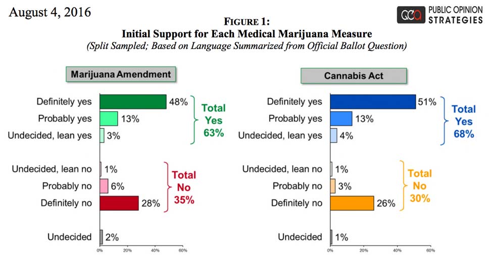 amca-amma-poll