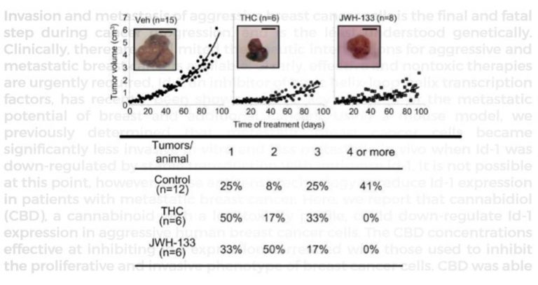 Here’s What Research Says About Breast Cancer and Cannabis | #