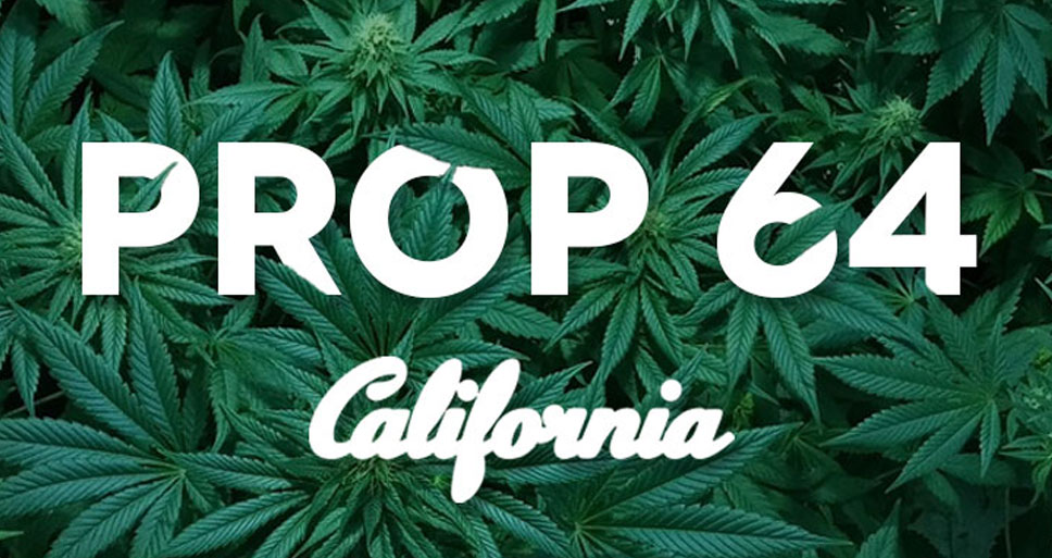 prop64-herb